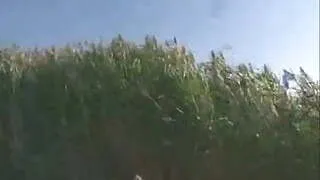 Old Man And  Babe Beach Sex 2 Wear-Tweed