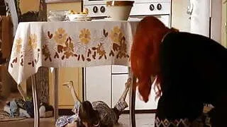 Kate Winslet Panty Flashing