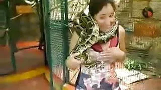 snake on neck