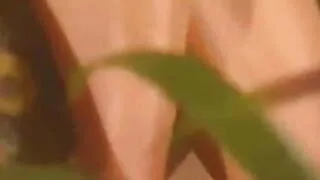 The Potter twins vs The Marcela twins