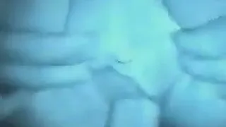 Top Secret Creampie At Night