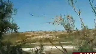 Outdoor threesome BJ