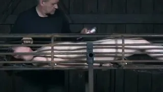 Bondage bdsm fetish sub water punished