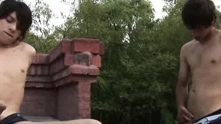 Handsome gay boy seduced outdoors