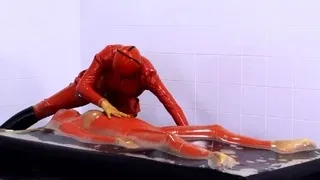 Erotic Fetish Hardcore BDSM Artwork