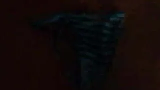 cummin on stepdaughters panties 