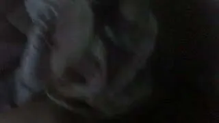 Ex Girlfriend Bang 1 (Short)