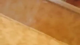 Young Couple Doggystyle Quickie