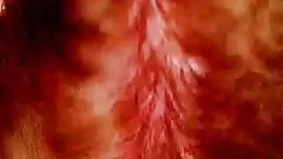 Geiler fick mit Devoter Sklaven Sau im Wald.