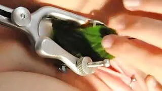 Stinging nettle, Brennnessel