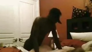 Very Dark Black Man Is Fucking A Very Light White Girl Hard