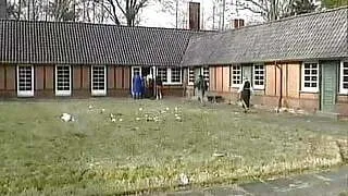 Gli esami anali delle liceali (3 of 4)