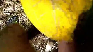 Fuck a Melon I
