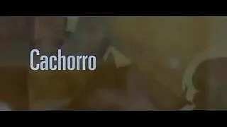 Filhote - Cachorro - Bear Cub (2004)