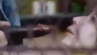 Oldie but Goldie  29