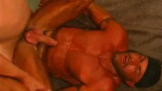 Hardocre Hairy Gay Bear