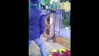 Alfred's Flowershop Dance