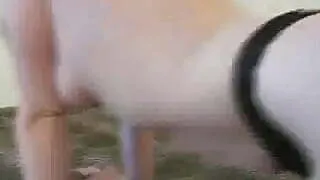 Ex girlfriend does handjob sex to a big cock for cum