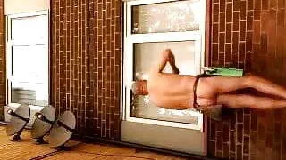 window cleaner in leeds , springvalley