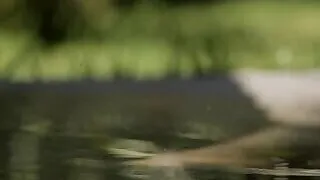 Naked brunette woman Valeria A is taking off her clothes