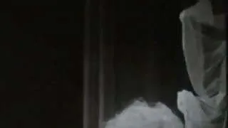 Vintage Margaret Nolan