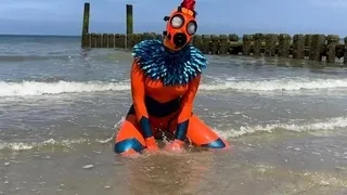 Nude Beach Public Blowjob