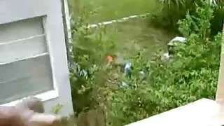 Holiday hotel flash cock at male gardener