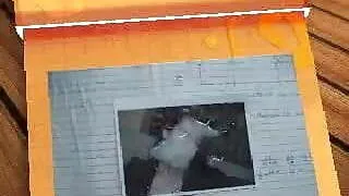 cum tribute to my friend Amy from Florida