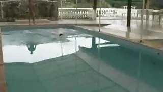 Dudu Ferraro passivo