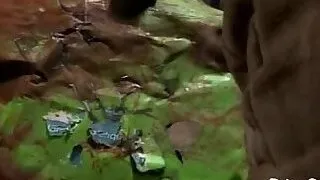 Anal after deep throat