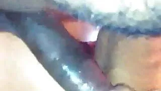 Ms. Cougar back again