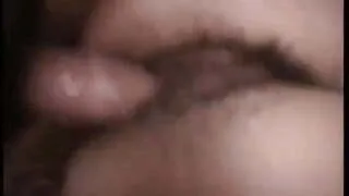 Besamte Fotzenbuesche ter