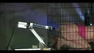 Caged Robotic Gang Bang