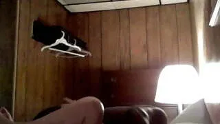 vid that was once forgotten 