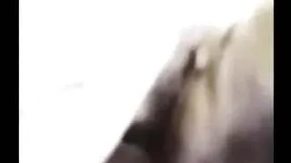 Husband watches wife suck black cock