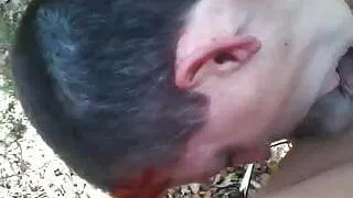 suite exhib notre petite video