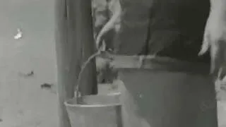 Bertha 1950's Sweet Farmers Daughter