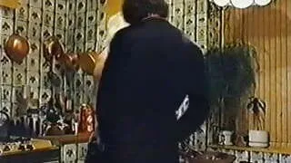 Seka gets cock in the kitchen