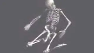funny skeletons