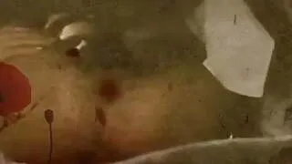 Cumshot Compilation Anita Rinaldi