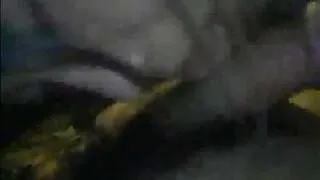 Korean  Amateur GF Hot BJ