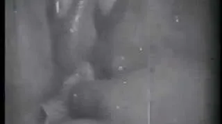 Lady Lovers Site Seer