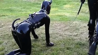 Amateur Honey With A BDSM Fetish