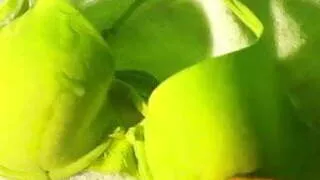 Sister's green bra