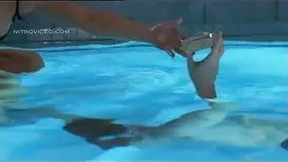 Pornstar Celebrity Softcore Sex MILF Tits Oral Seduced Amate