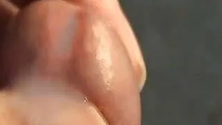 A little something to chew on