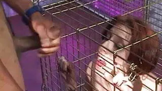 Bivirist session with one slut and two dudes