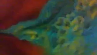 Step Daddys Lil girls pussy.