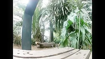 Milf Peeing Next To Park Bench On The Boardwalk - FreePublicPorn.com