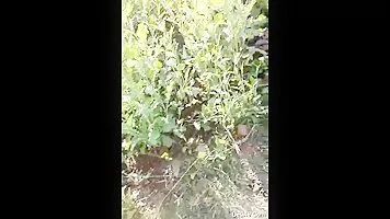 Desi Village Lover Sex In The Street